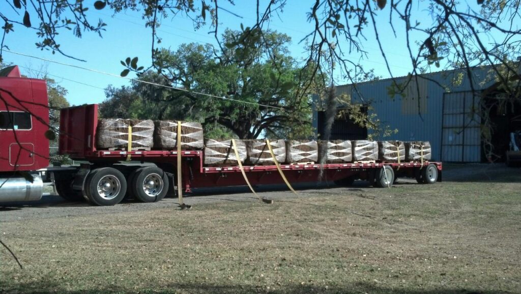 A truck with many wooden logs on it
