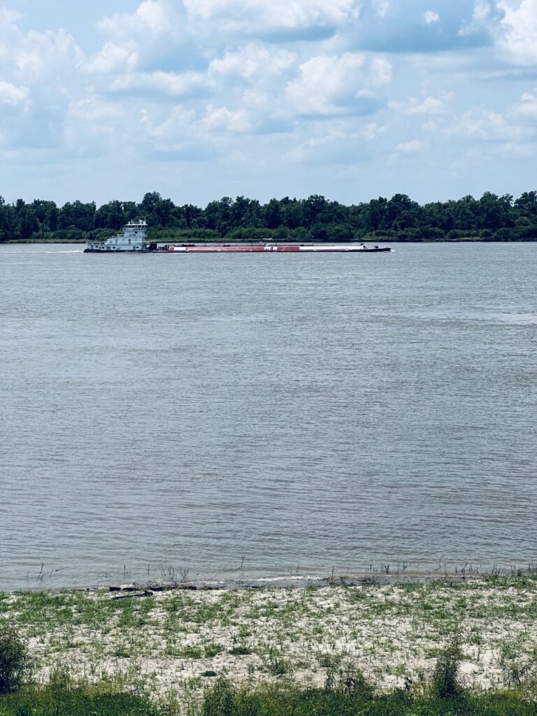 A large body of water with trees in the background.