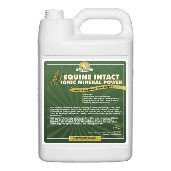 Equine Intact™