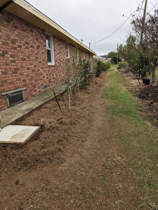 A dirt path leading to a house with a bench on the side.