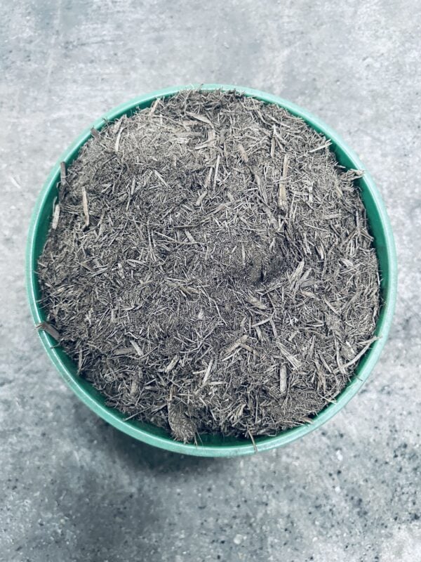 A bowl of mulch on the ground