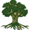 ag-and-animal-category.png