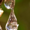 mastic-tear-close2.png
