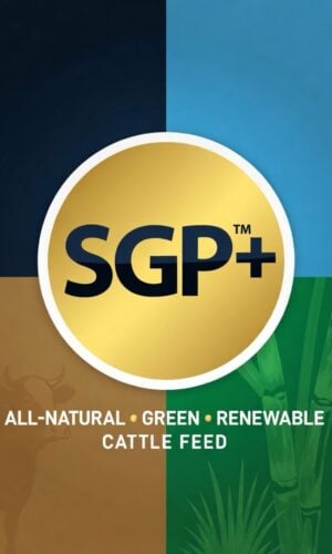 SGP+™
